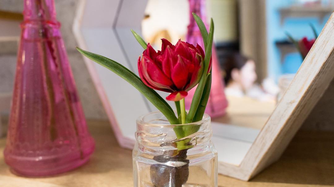 店内のお花を新しくして頂きました（2016.02.11）