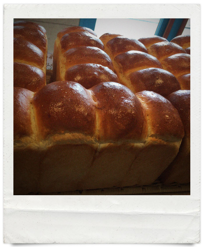 オパンの山型食パン、角型食パン（2017.04.06）