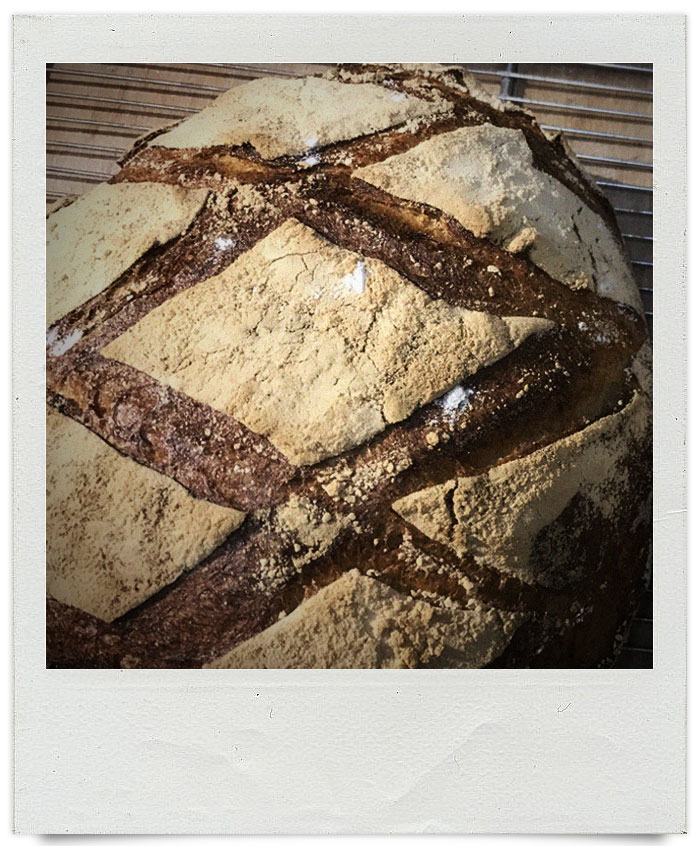 オパンのカンパーニュ（2017.04.22）