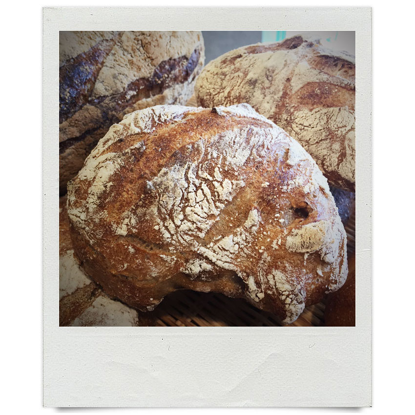 オパンスタッフの「本日の一枚」（2017.08.28-09.23）