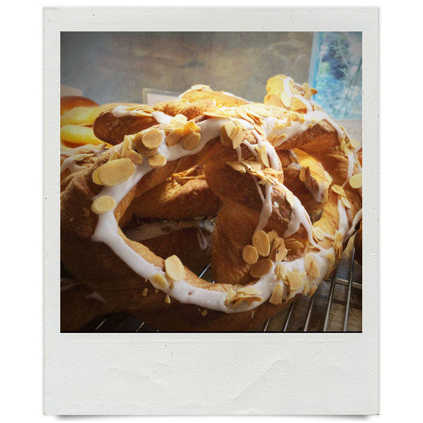 オパンスタッフの「本日の一枚」（2017.08.28-09.23）