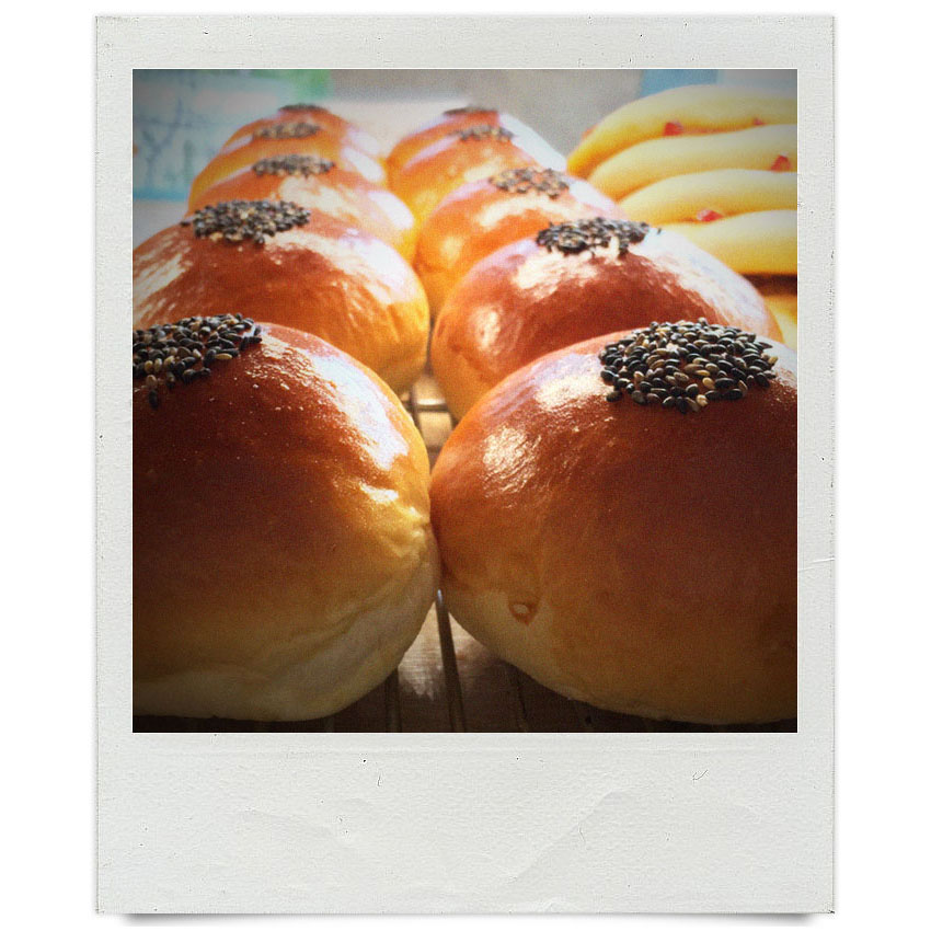 オパンスタッフの「本日の一枚」（2017.08.28-09.23）