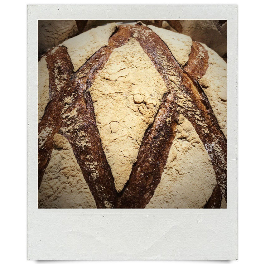 オパンスタッフの「本日の一枚」（2017.08.28-09.23）