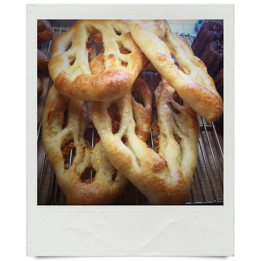 オパンスタッフの「本日の一枚」（2017.08.28-09.23）