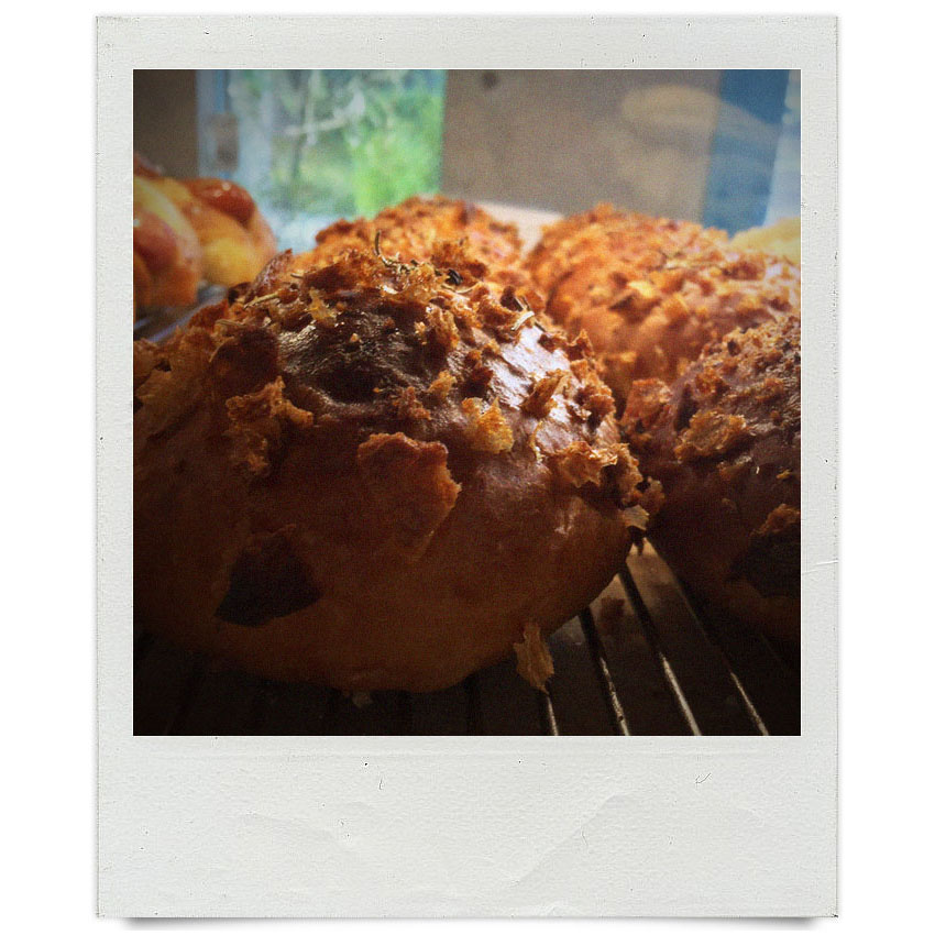 オパンスタッフの「本日の一枚」（2017.08.28-09.23）