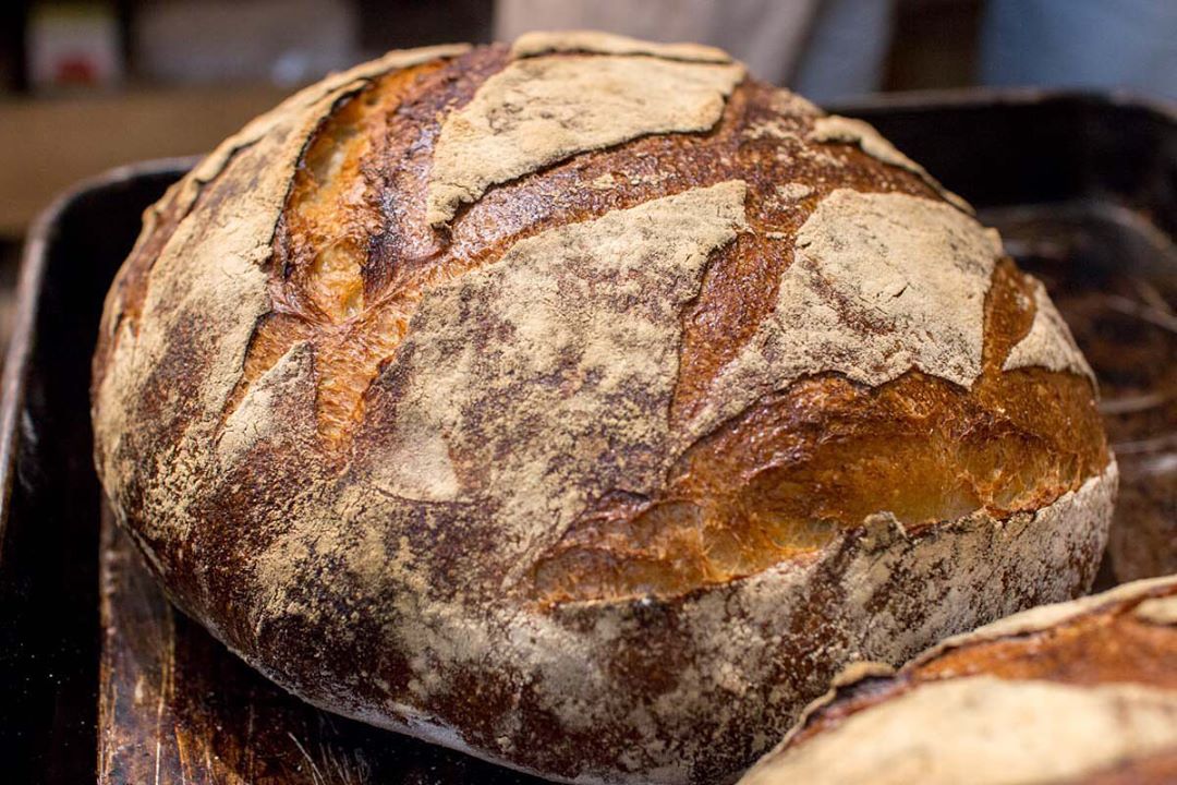 オパンのカンパーニュ（2019.05.24）