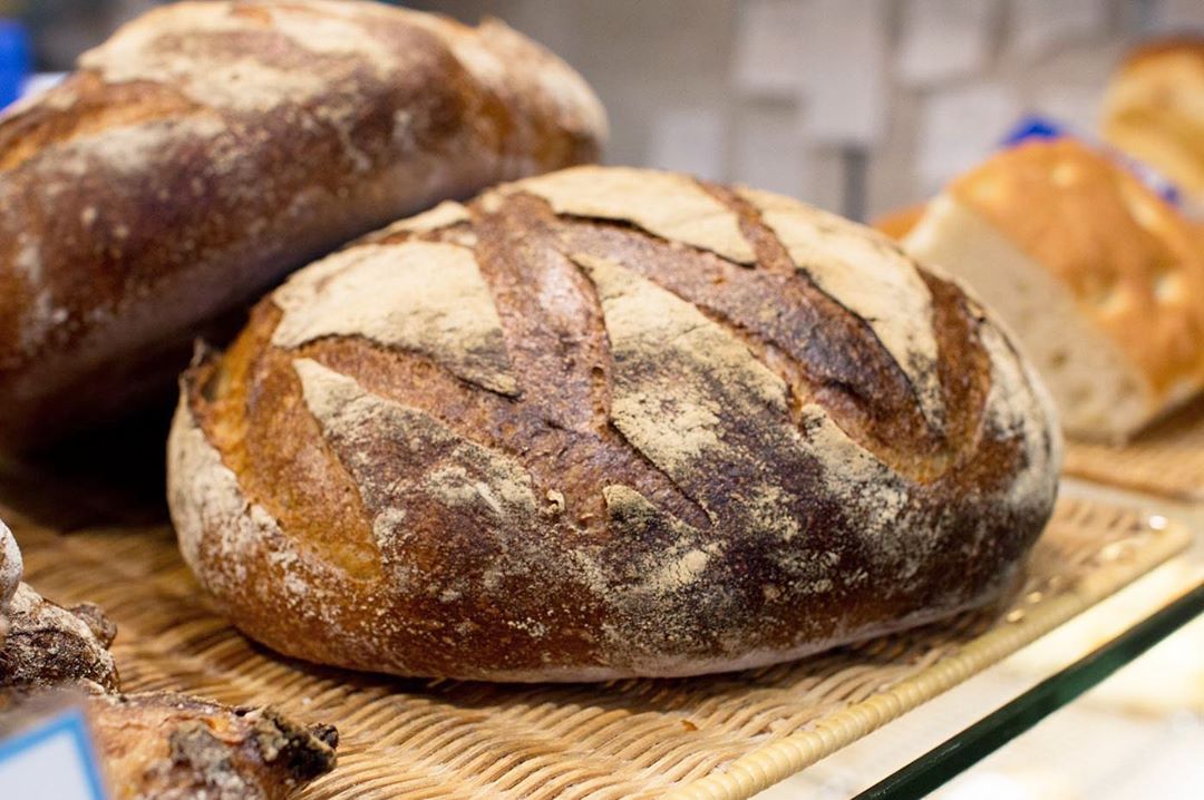 オパンのカンパーニュ（2019.08.30）