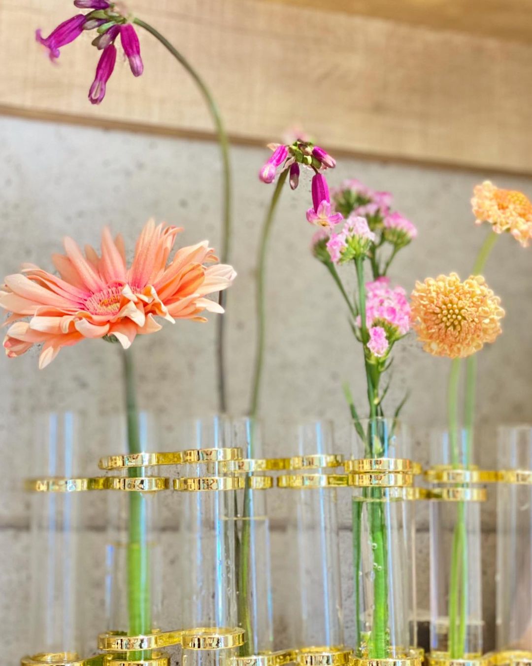 2020年4月のお花（2021.04.21）