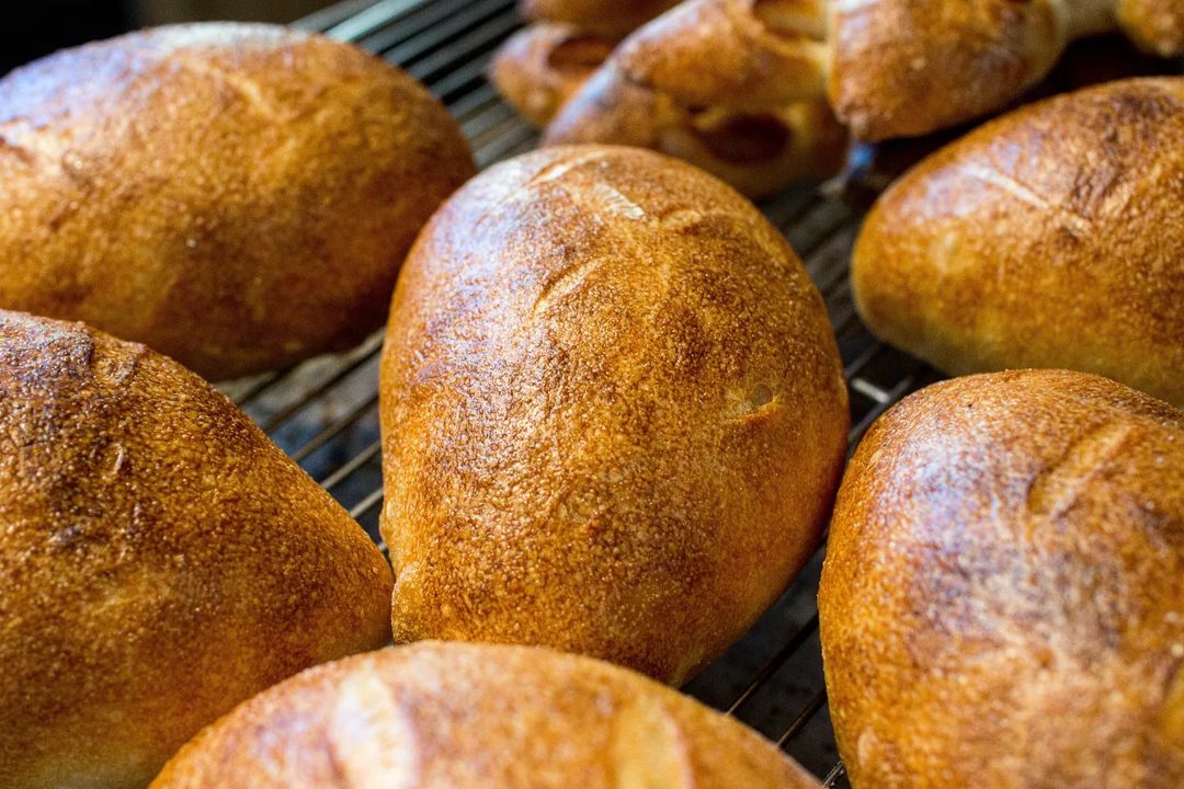 エピベーコン、チーズフランス焼き上がっています（2022.04.28）