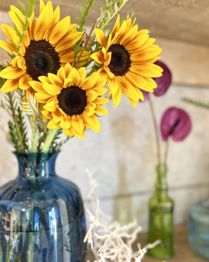 2022年8月のお花（2022.07.27）