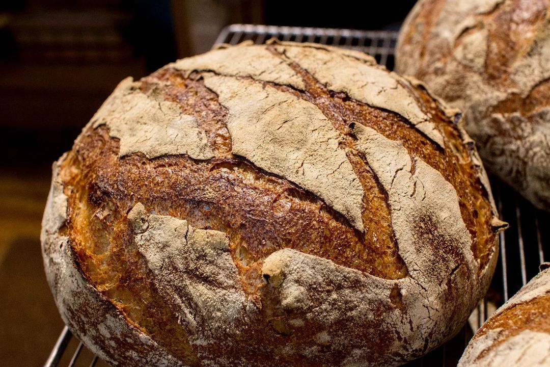 水曜日・金曜日限定の自家製酵母カンパーニュ、16時ころの焼き上がりとなります（2022.08.05）