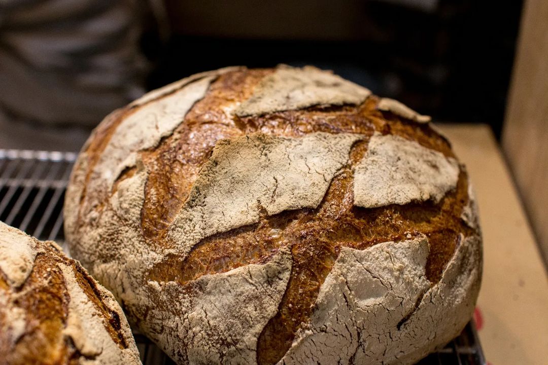 水曜日・金曜日限定の自家製酵母カンパーニュ、本日もたくさん焼かせていただきます（2022.08.26）