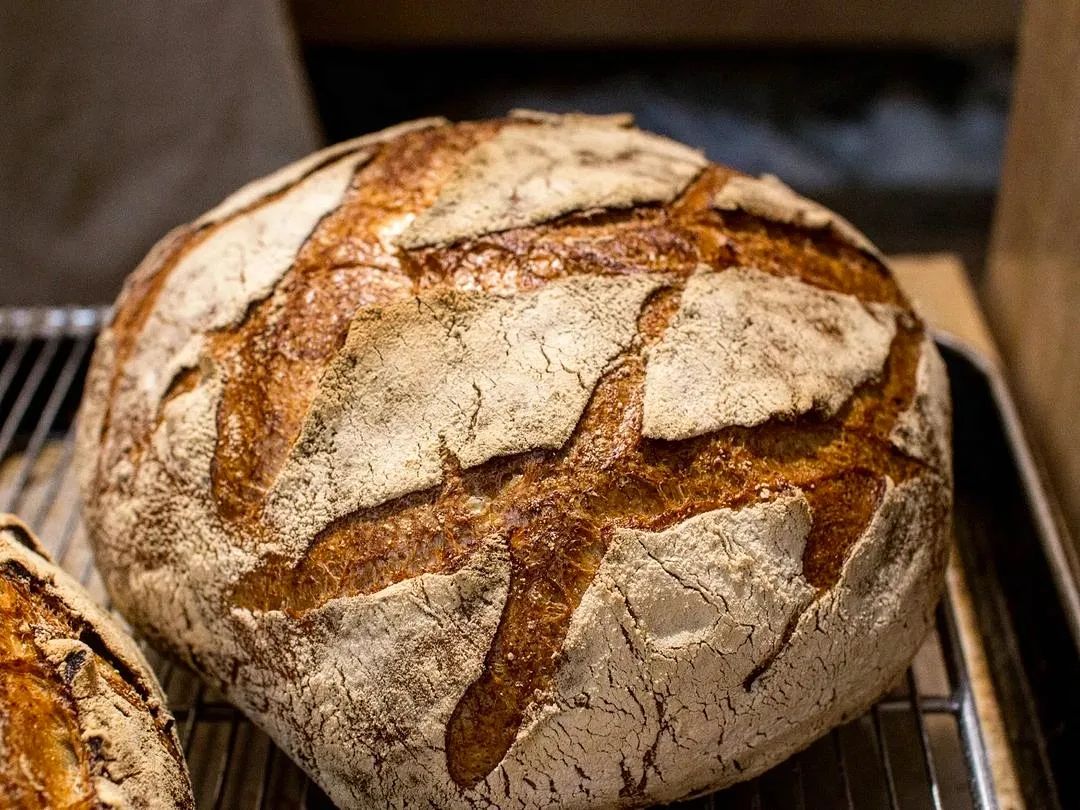 バゲットやくるみ入り田舎パン、パン・ド・ロデヴやカンパーニュなどハード系パンも豊富にご用意しています（2022.12.21）