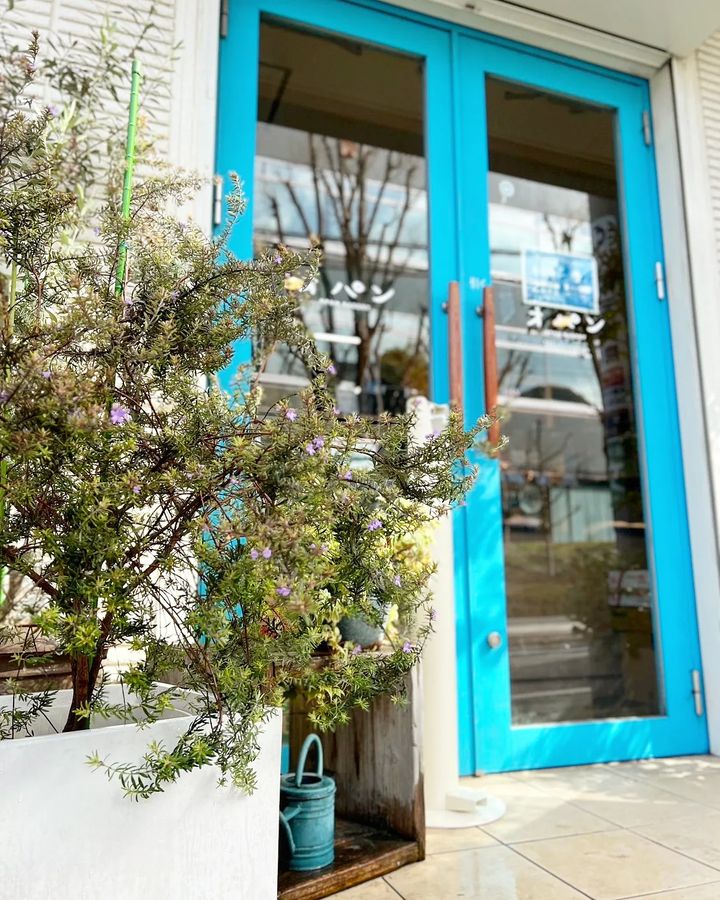 お店の植栽をリニューアル頂きました（2023.03.07）