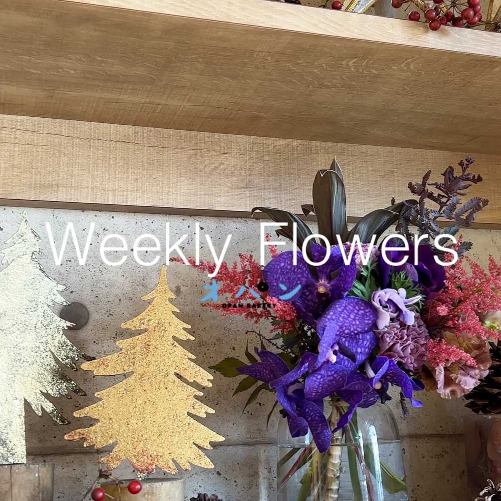 今週のお花（2023.11.24）