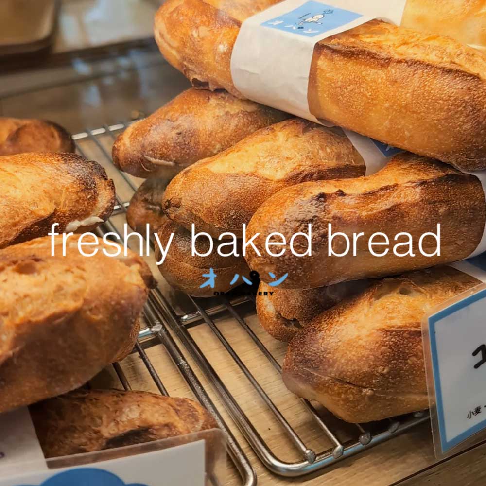 本日も焼き立てパン豊富にご用意しています、ぜひご来店ください（2024.09.22）