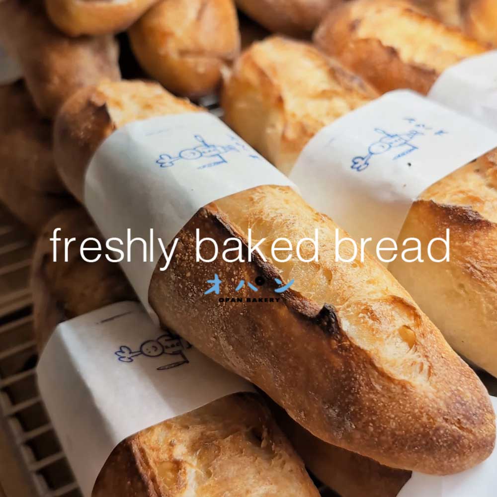 本日も朝から気持ちのよいお天気です（2024.09.26）