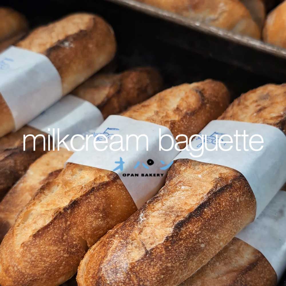 朝から少し曇り空ですが、ぜひ一息つきにお越しください（2024.11.23）