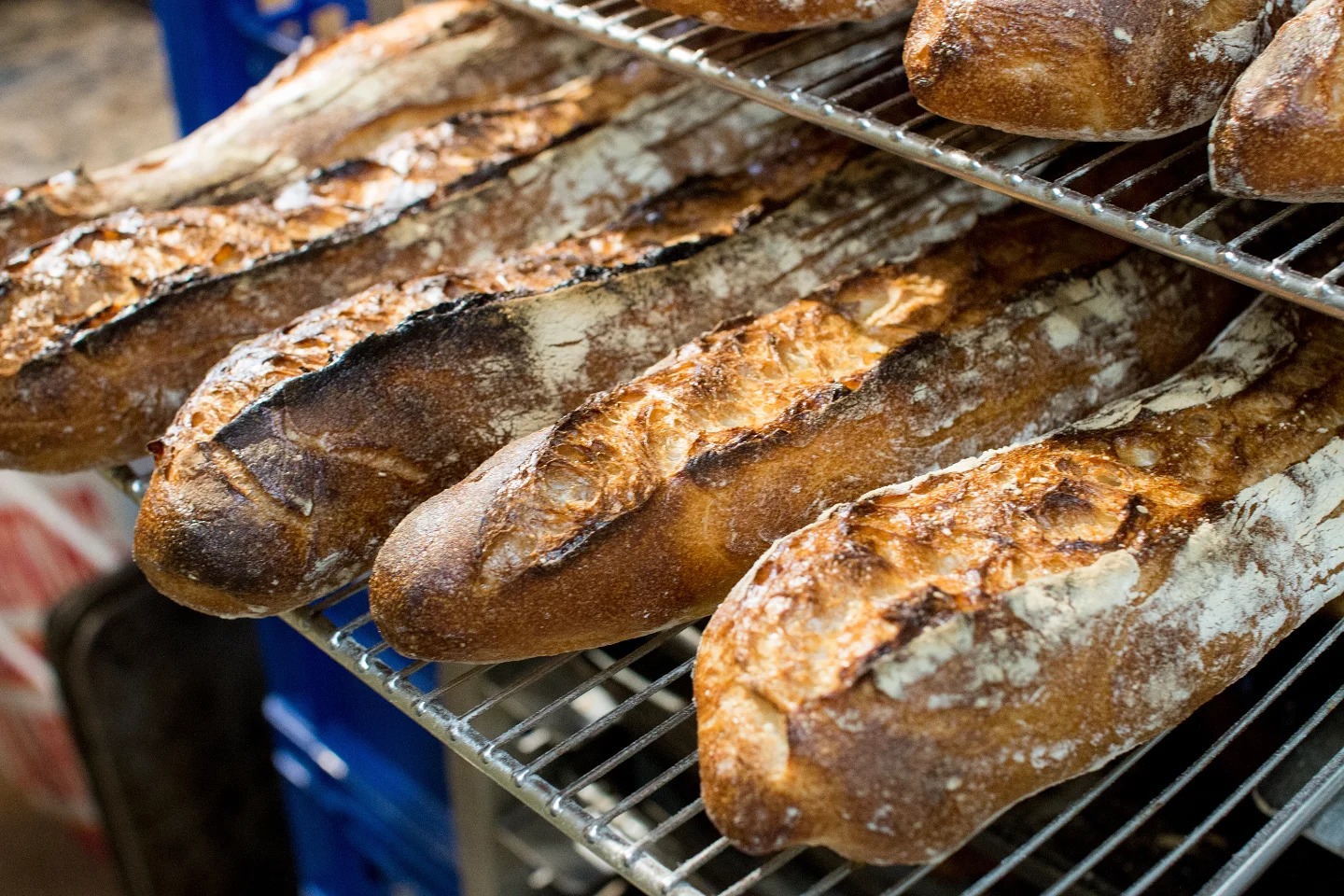 オパンのバゲット焼き上がっています(2025.09.12)
