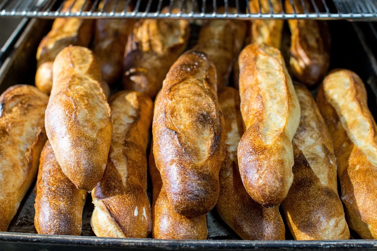 気持ちの良い秋の季節です、お出かけしやすい季節（2025.10.18）