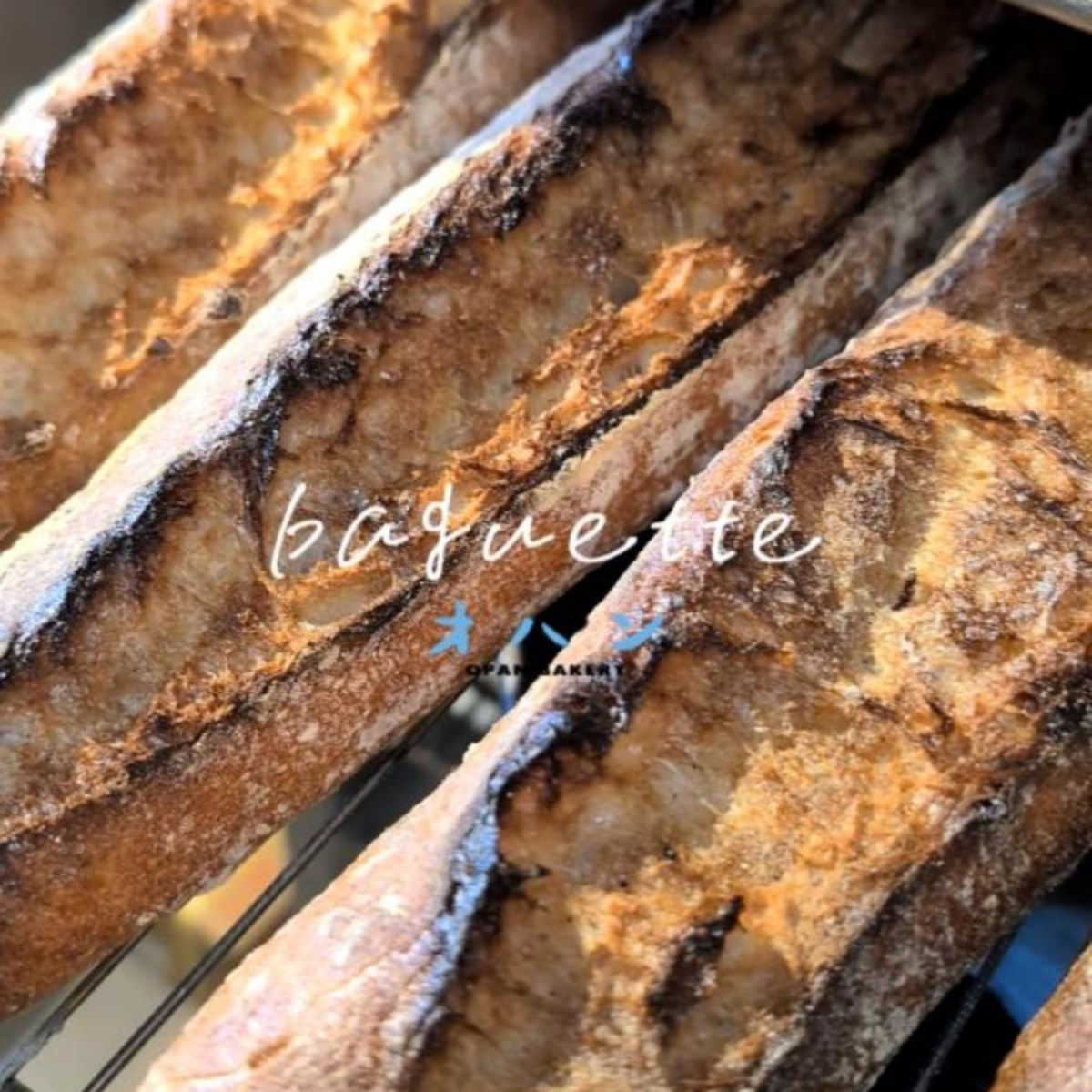 オパンのバゲット焼き上がっています（2025.10.26）