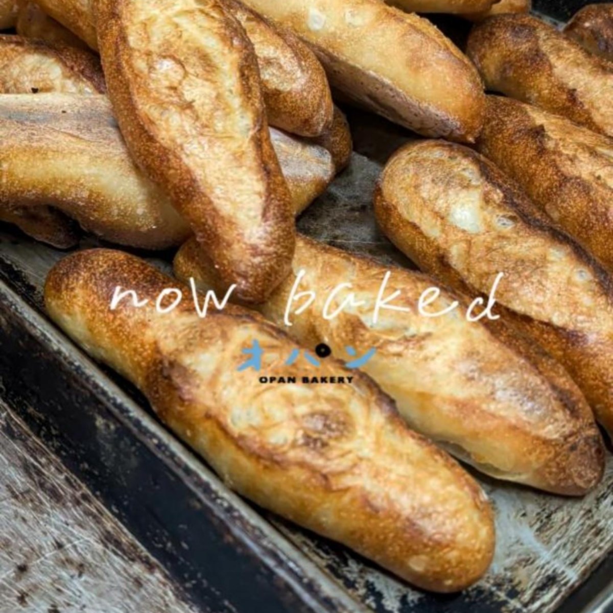 ミルクフランス等に使用するプチバゲット、オパンドッグ用のパンたくさん焼き上がっています（2025.11.01）