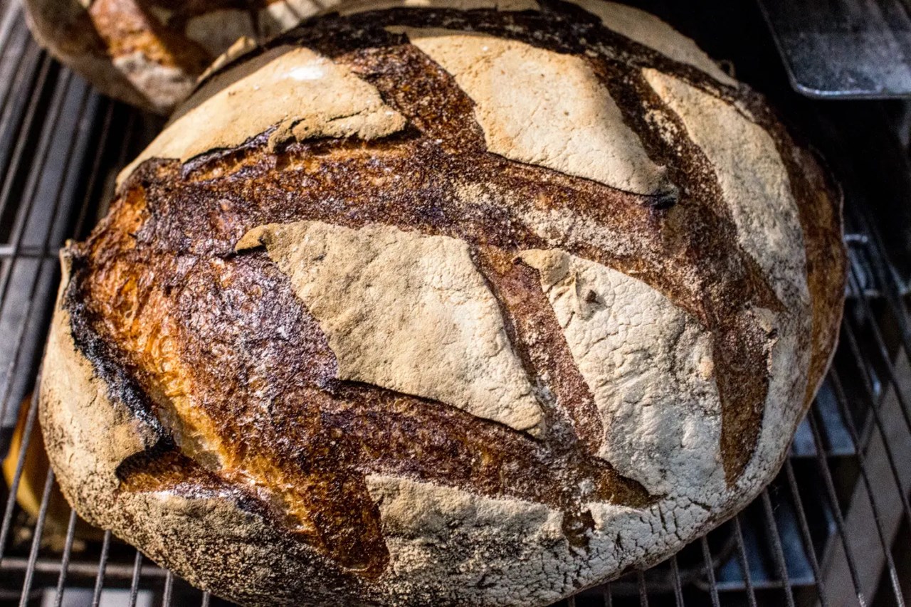 厳選した小麦を使い、じっくり時間をかけて発酵させた限定のパン・ド・カンパーニュ(2026.01.28)