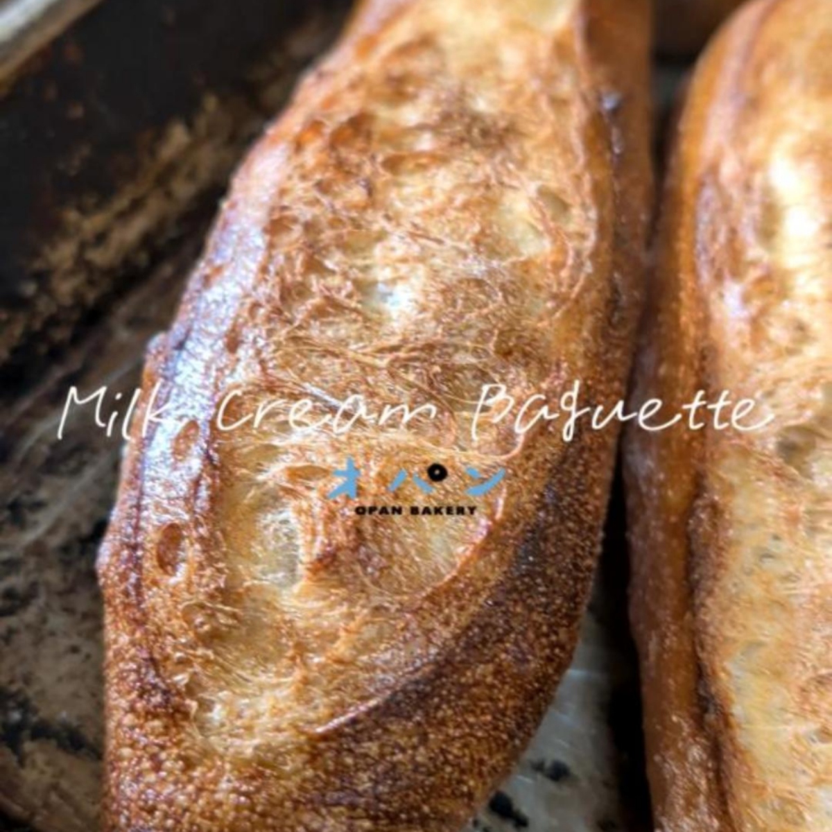 ミルクフランス等のプチバゲット類、たくさん焼き上げていってます（2026.01.30）