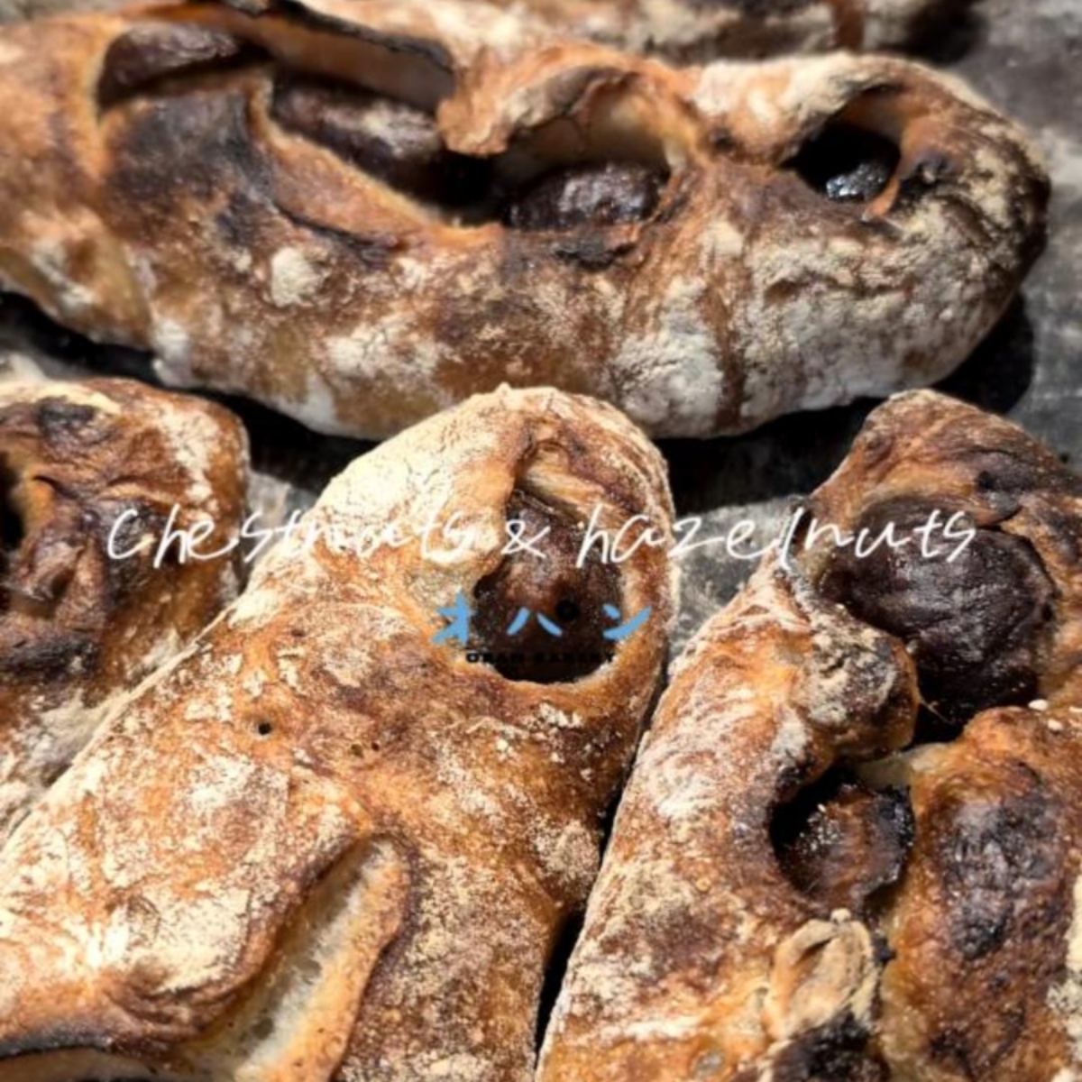 オパンの栗とヘーゼルナッツ焼き上がっています（2026.02.06）