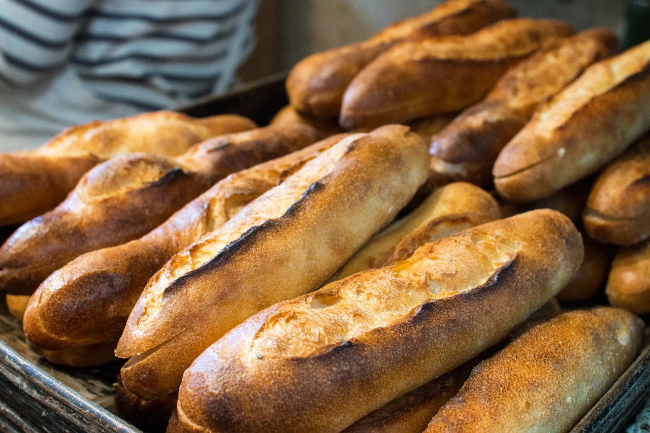 お天気も良く、散歩やお出かけには本当に気持ちが良い1日になりそうです（2026.02.18）