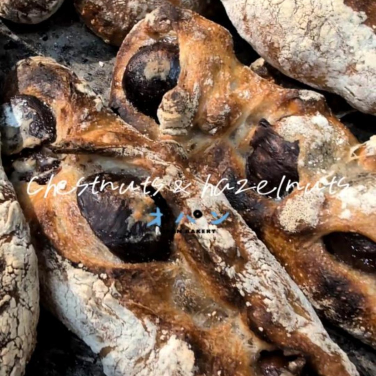 みんな大好き「栗とヘーゼルナッツ」たくさん焼き上がっています（2026.02.21）