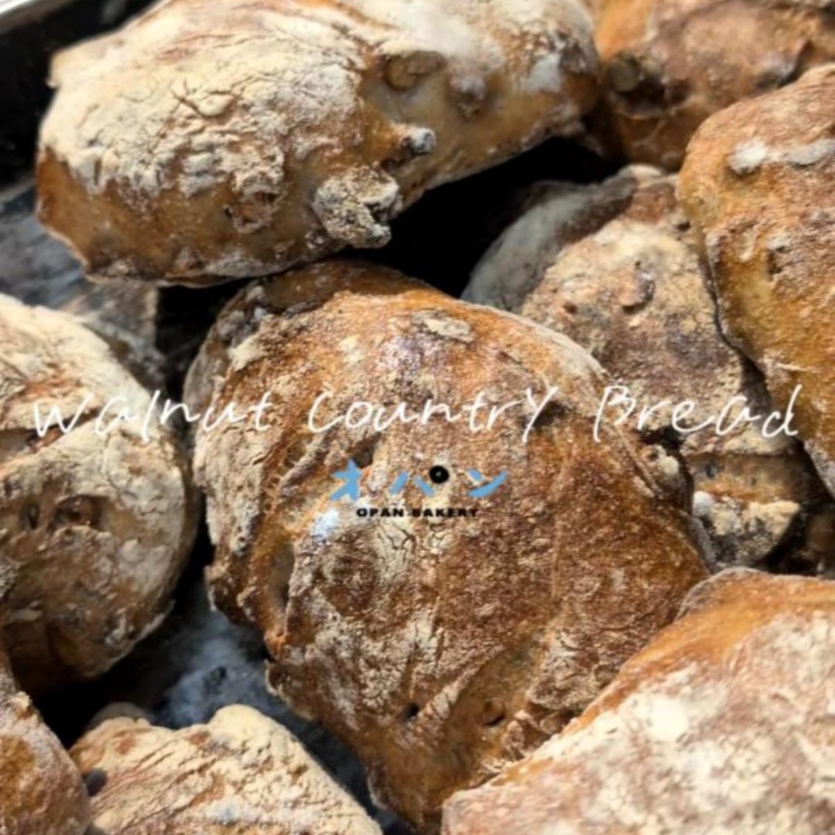 本日もくるみ入り田舎パン、パン・ド・ロデヴ焼き上がっています（2026.02.27）