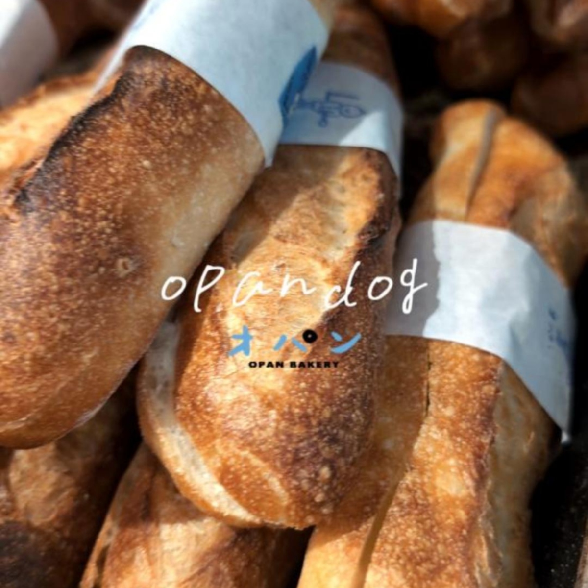 気持ちの良い青空が広がり、とても気持ちの良いお天気です（2026.04.03）