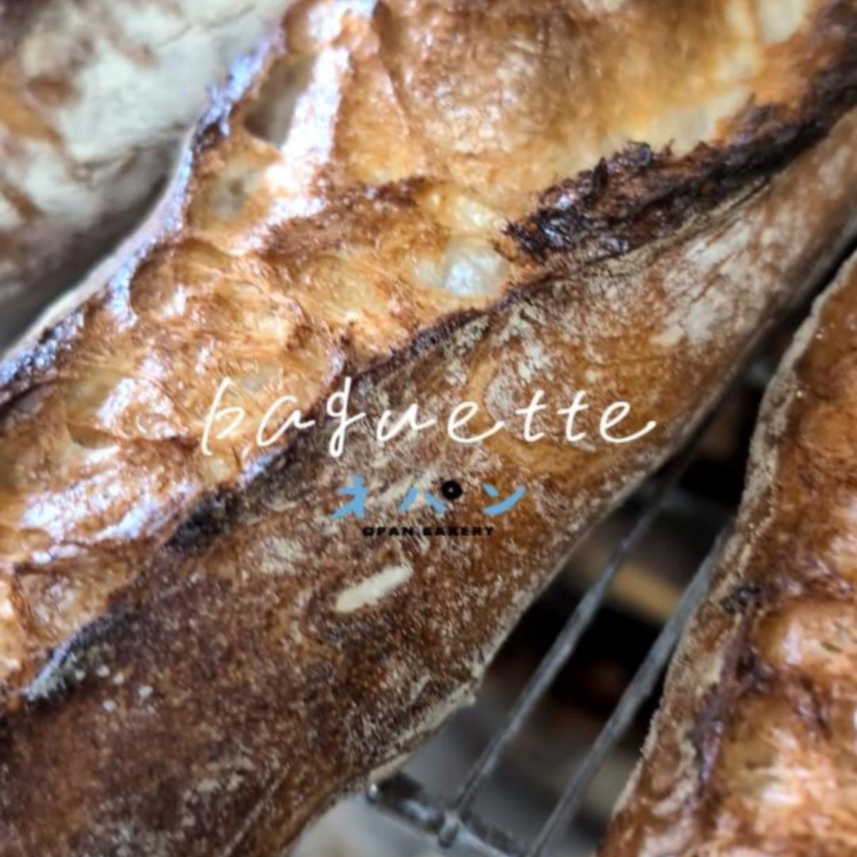 毎日焼き上げるバゲットは、シンプルだからこそ素材の良さが引き立ち、小麦の自然な甘みと風味を十分に味わえます（2026.04.10）